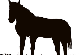 Horse Sanctuary web application preview